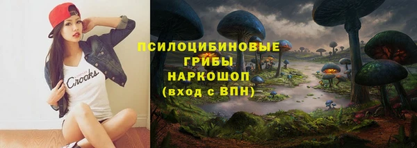 мяу мяу мука Алексин