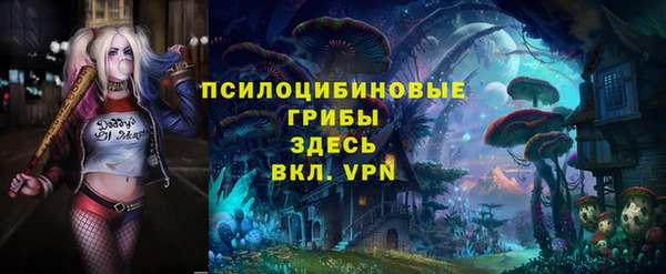 дживик Аркадак