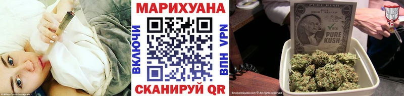 купить цена Сунжа Конопля семена